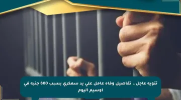 تنويه عاجل.. تفاصيل وفاة عامل على يد سمكري بسبب 600 جنيه في أوسيم اليوم